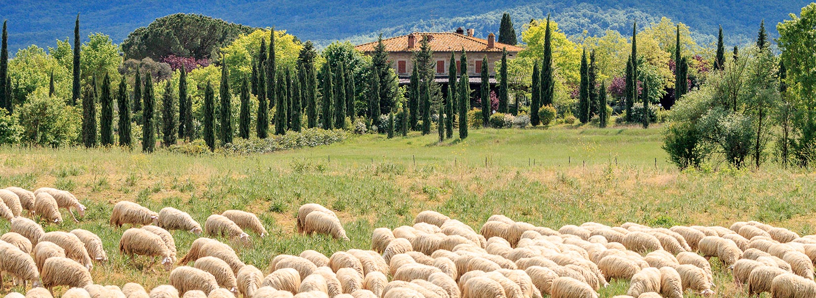 Fattoria La Vialla
